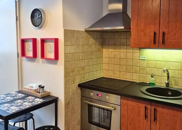 Mieszkanie 2 Centrum Ulica Narutowicza Apartment